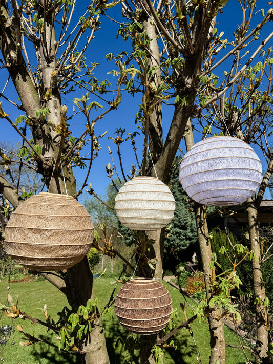 Lampionnen